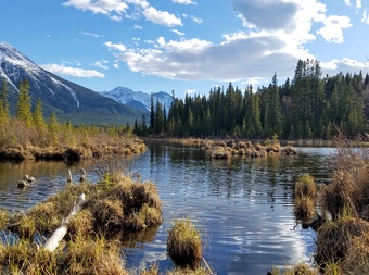 Vermilion Lakes Viewpoint cover