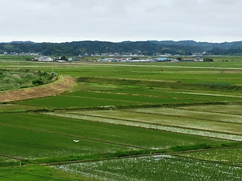 新宮城5区