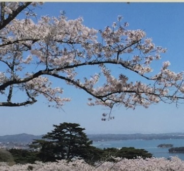 松島西行戻しの松公園