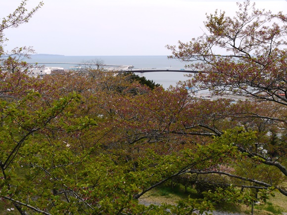 石巻の晩春