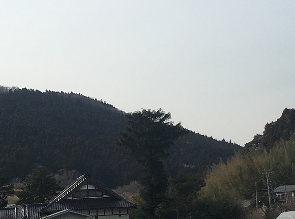 石巻の杉山