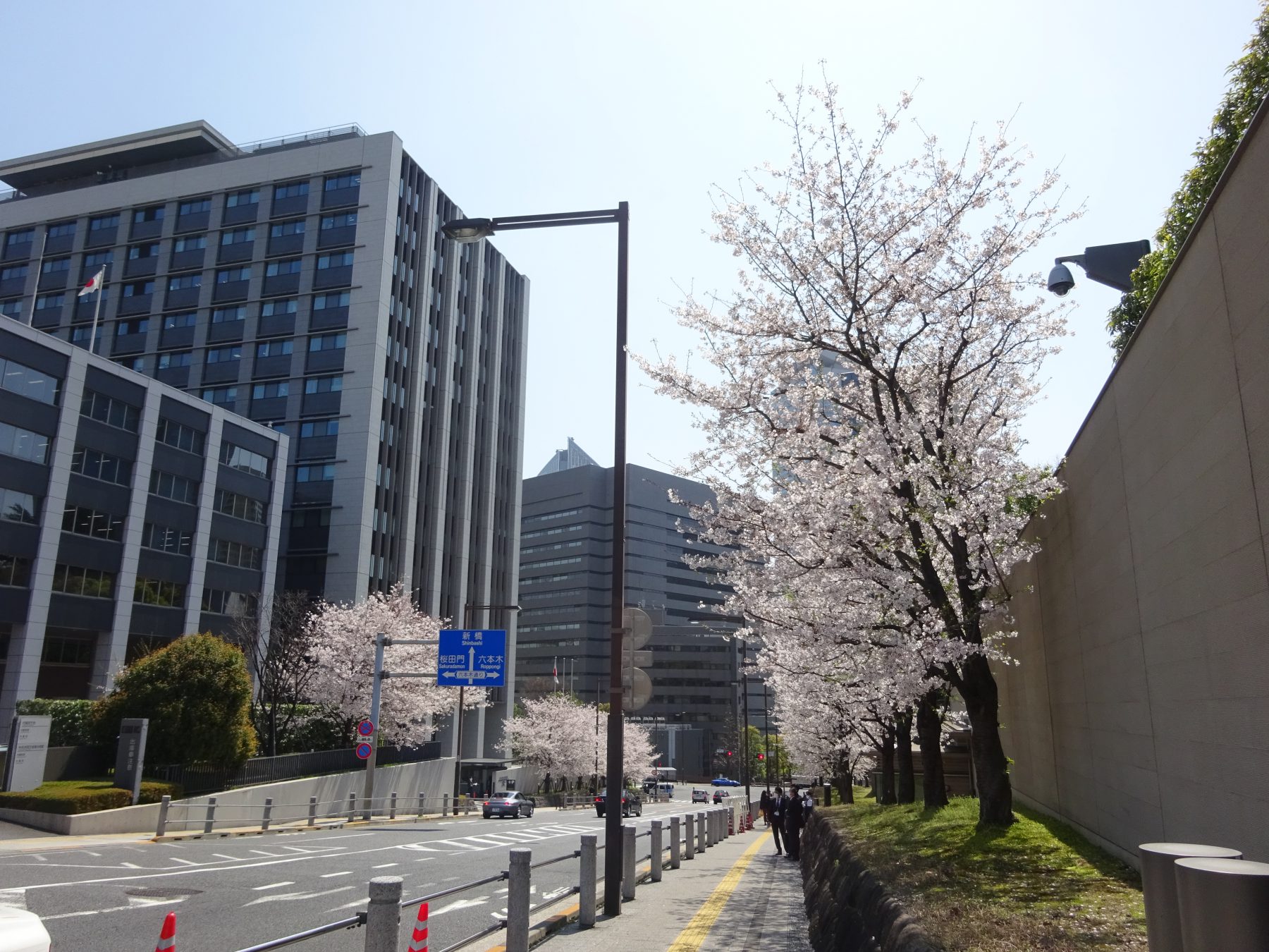 首相公邸の桜 安住淳 公式サイト