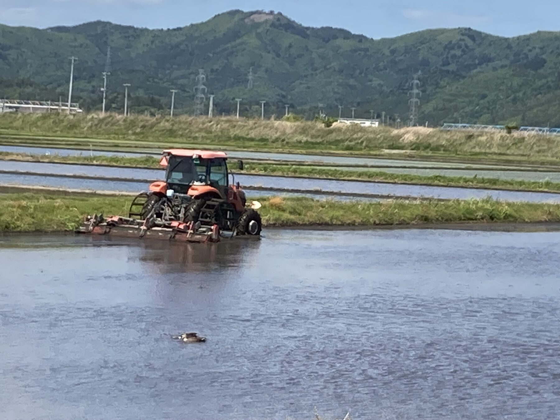 田植えシーズン