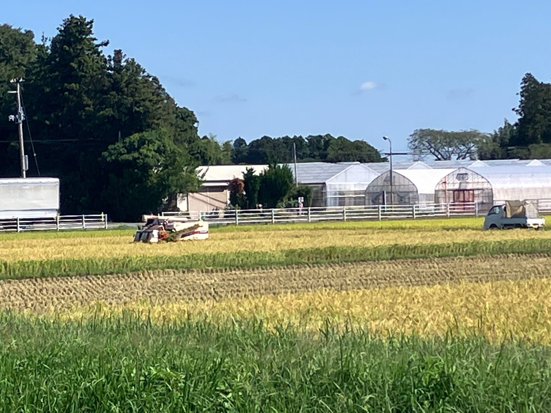 石巻地方の稲刈り