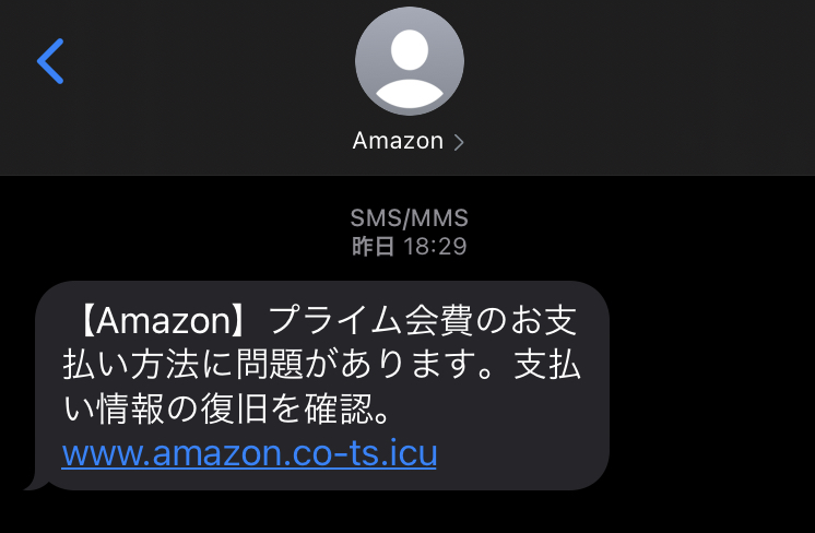 お アマゾン 支払い 方法 プライム あります が の 問題 に