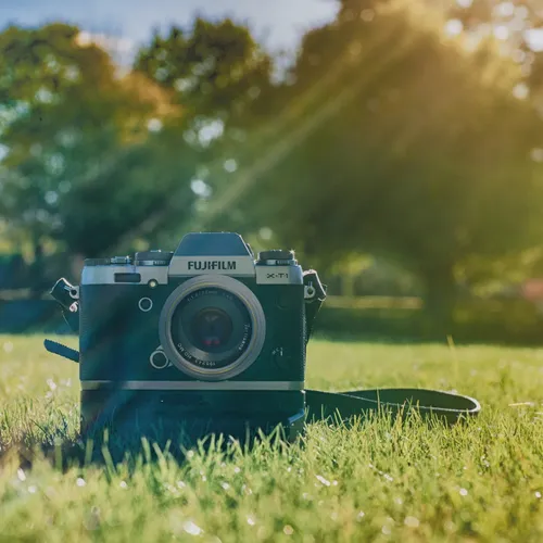Shooting Stunning Portraits in Harsh Sunlight: The Right Gear and Equipment