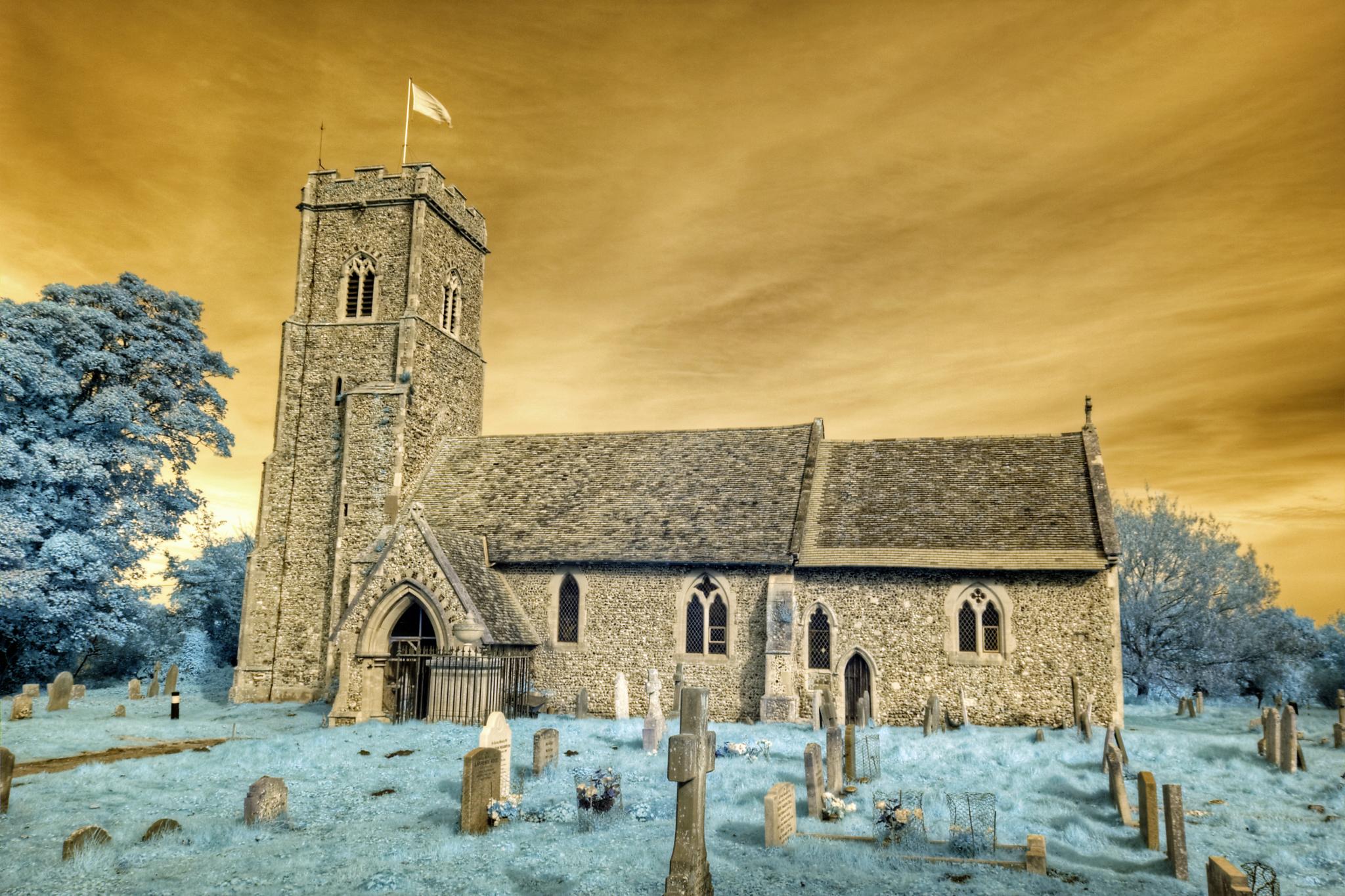blog image