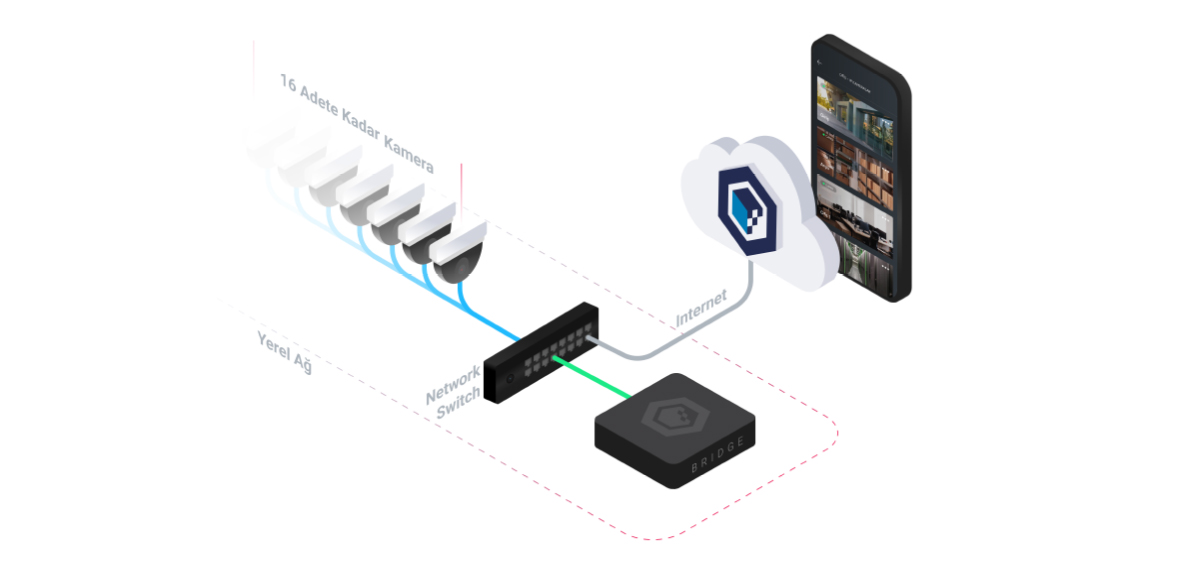 Hybrone Video Bridge