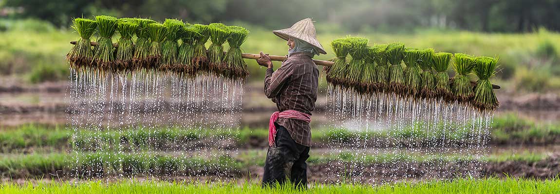 cambodia-destination-2