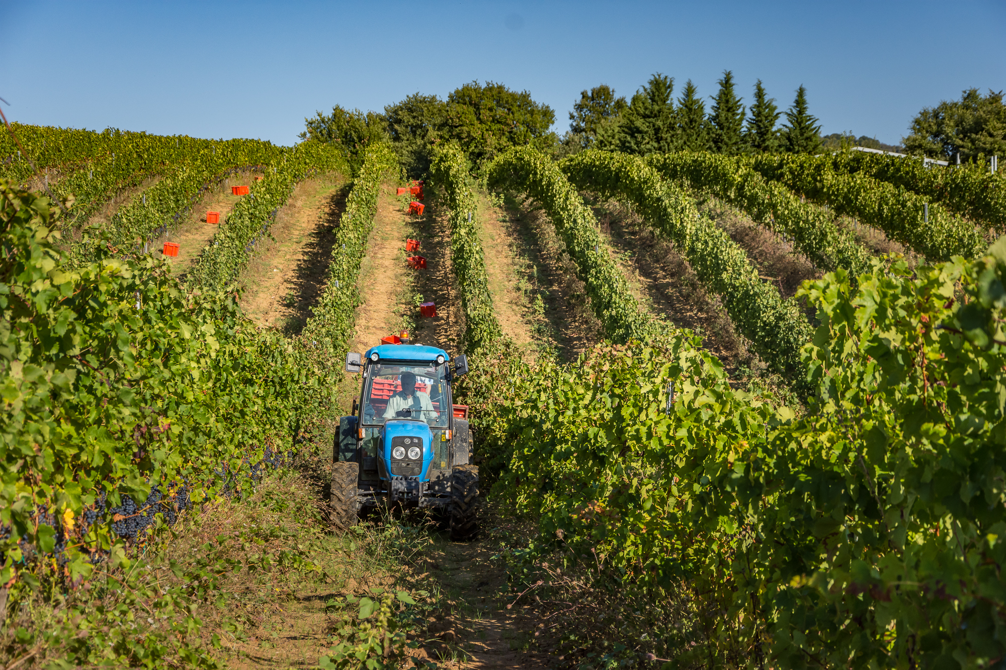 tractor