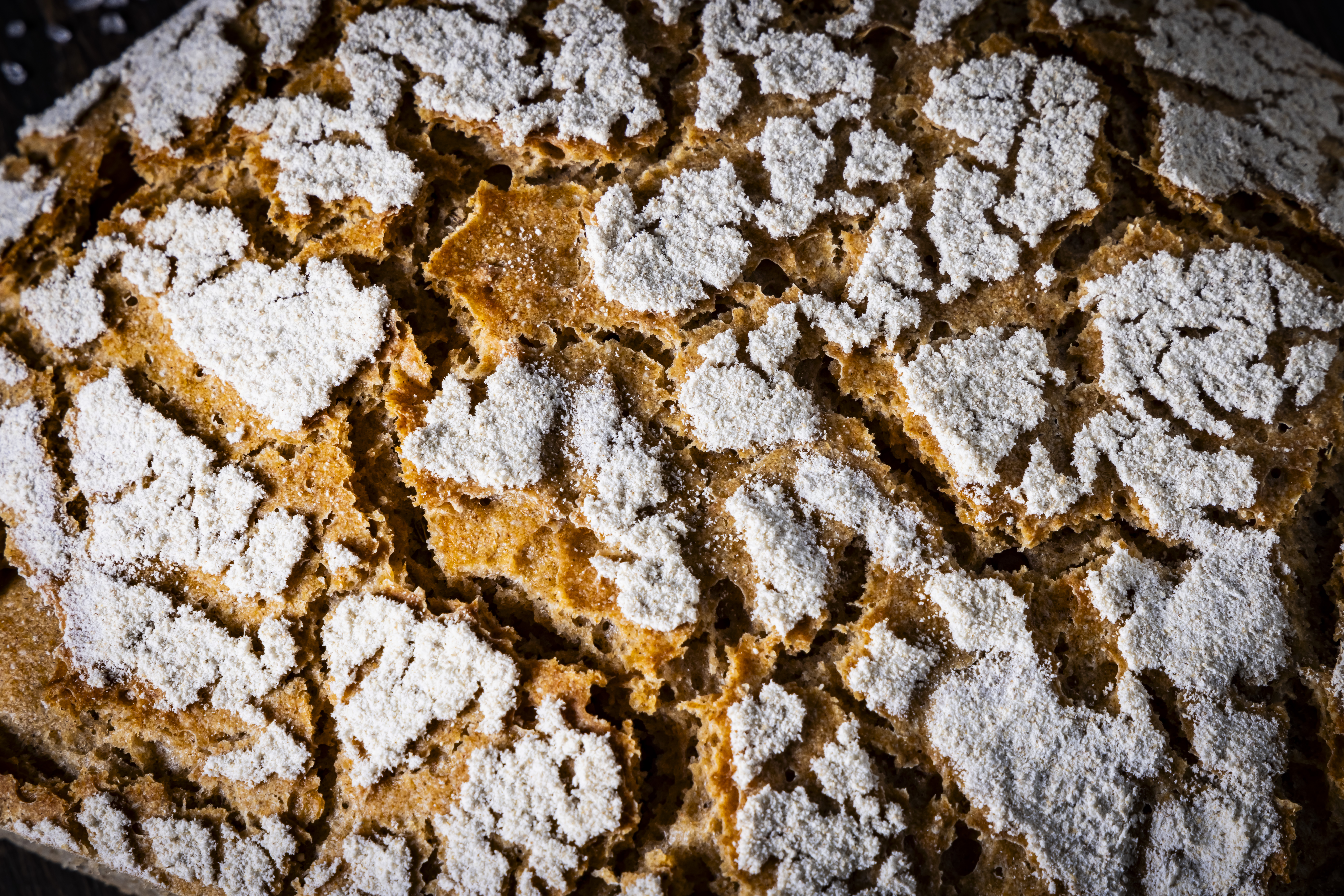Vienna Sourdough Rye Bread