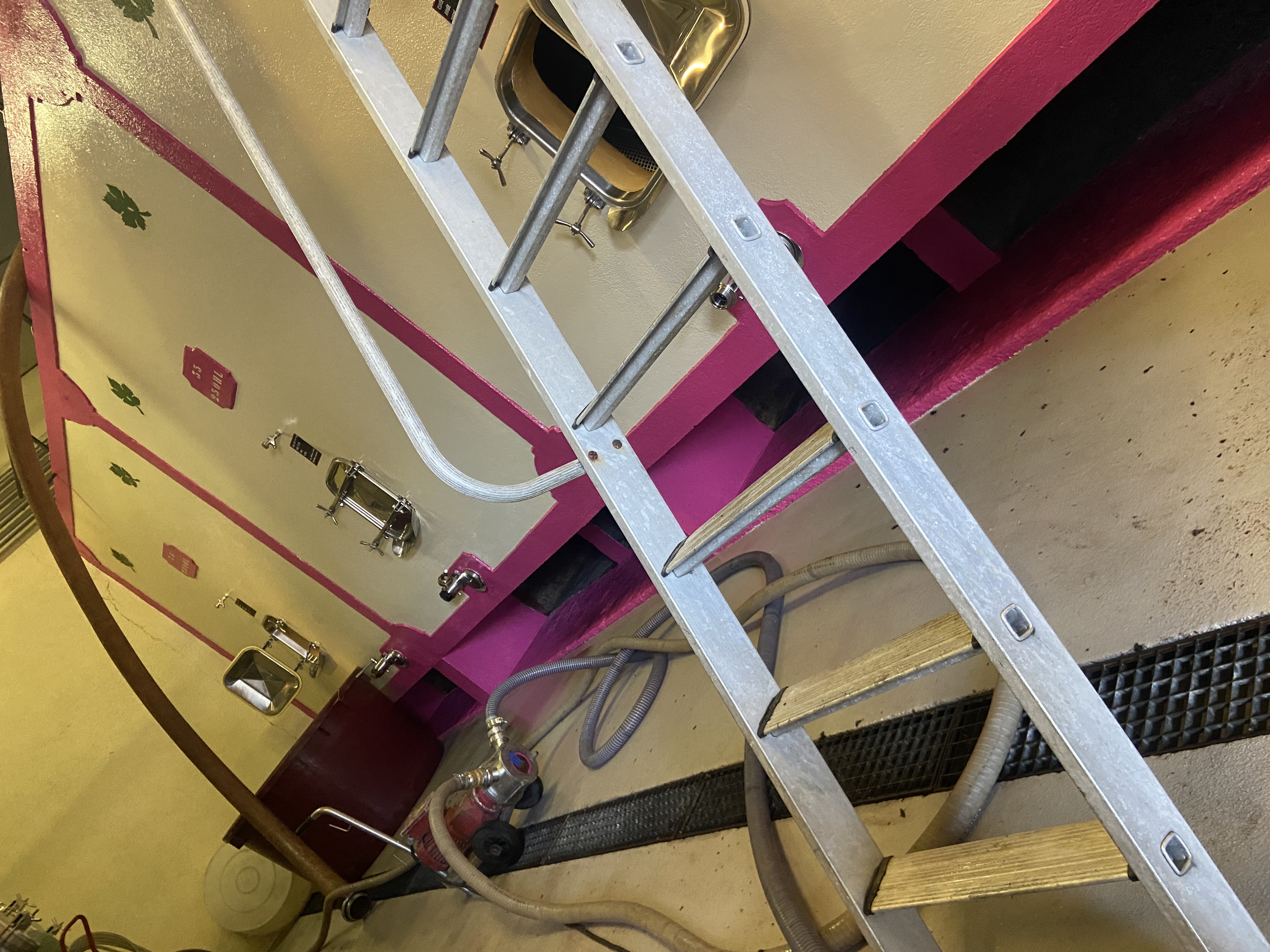 Cellar with concrete tanks
