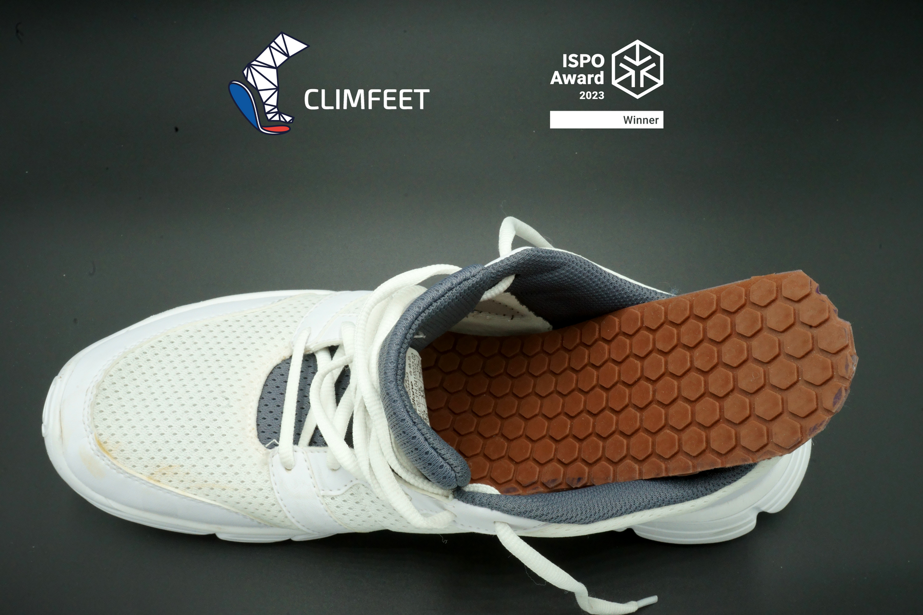 Insertion semelle S.png