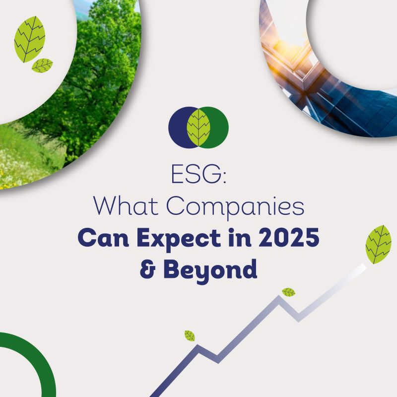 Free Report for CEOs