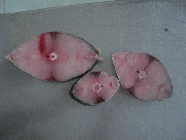 Postas de peixe serra