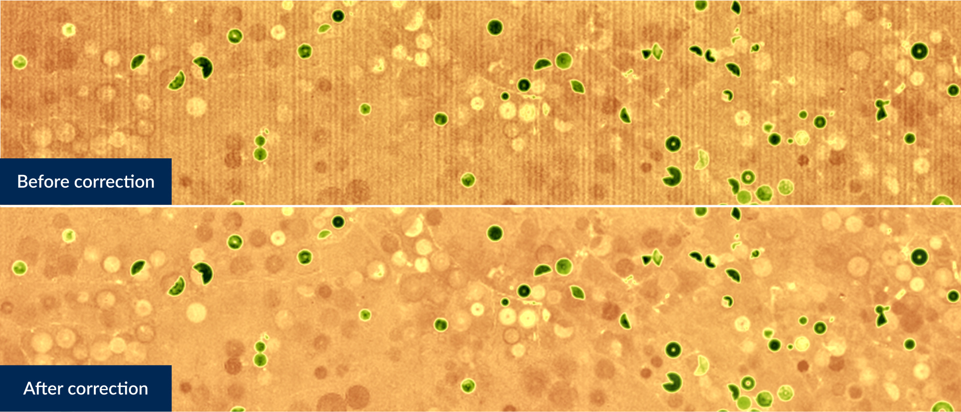 Vegetation moisture maps taken by space camera based on uncooled InGaAs technology