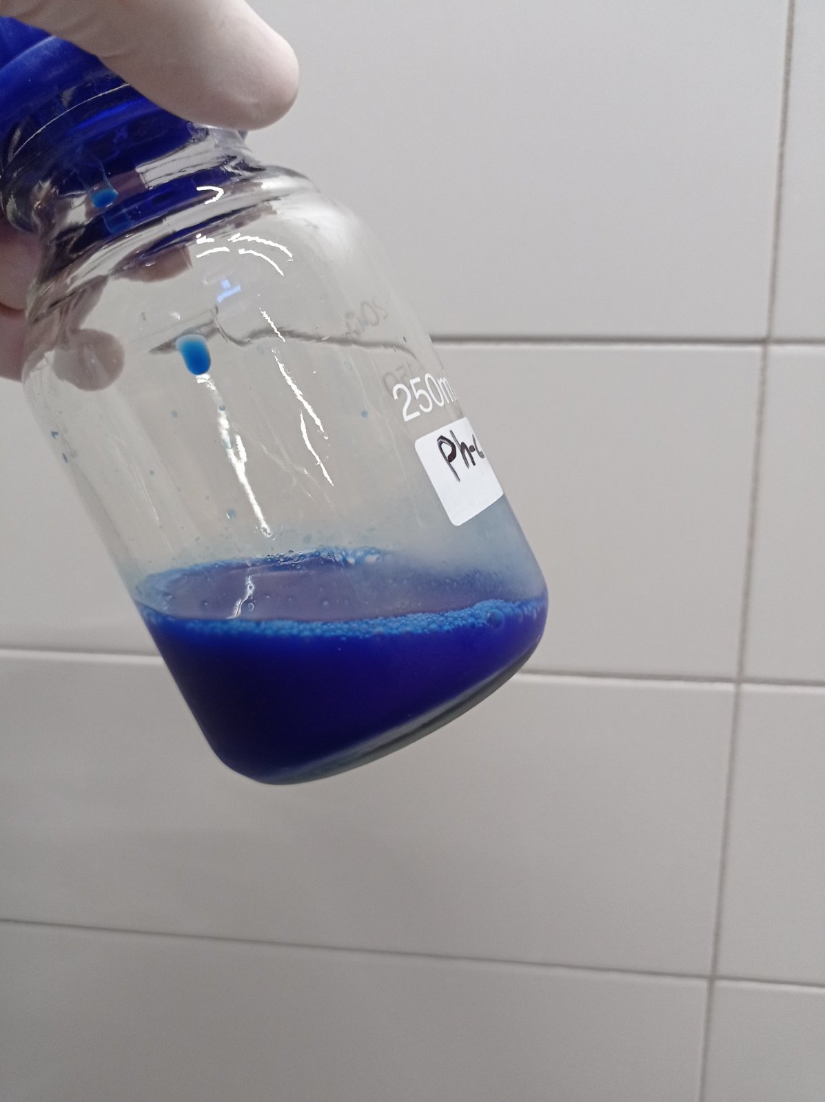 Fresh Phycocyanin extract