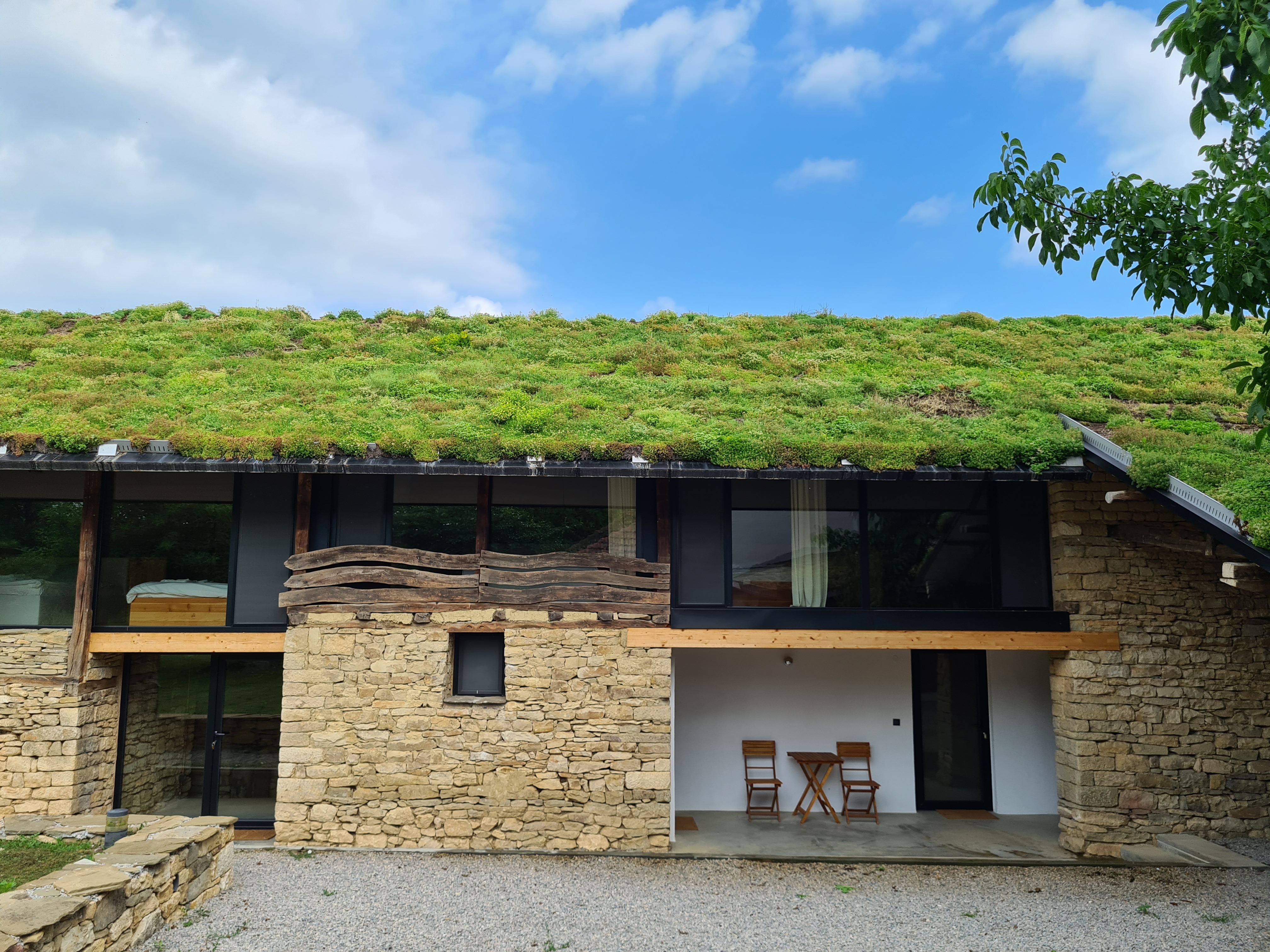 our first green roof