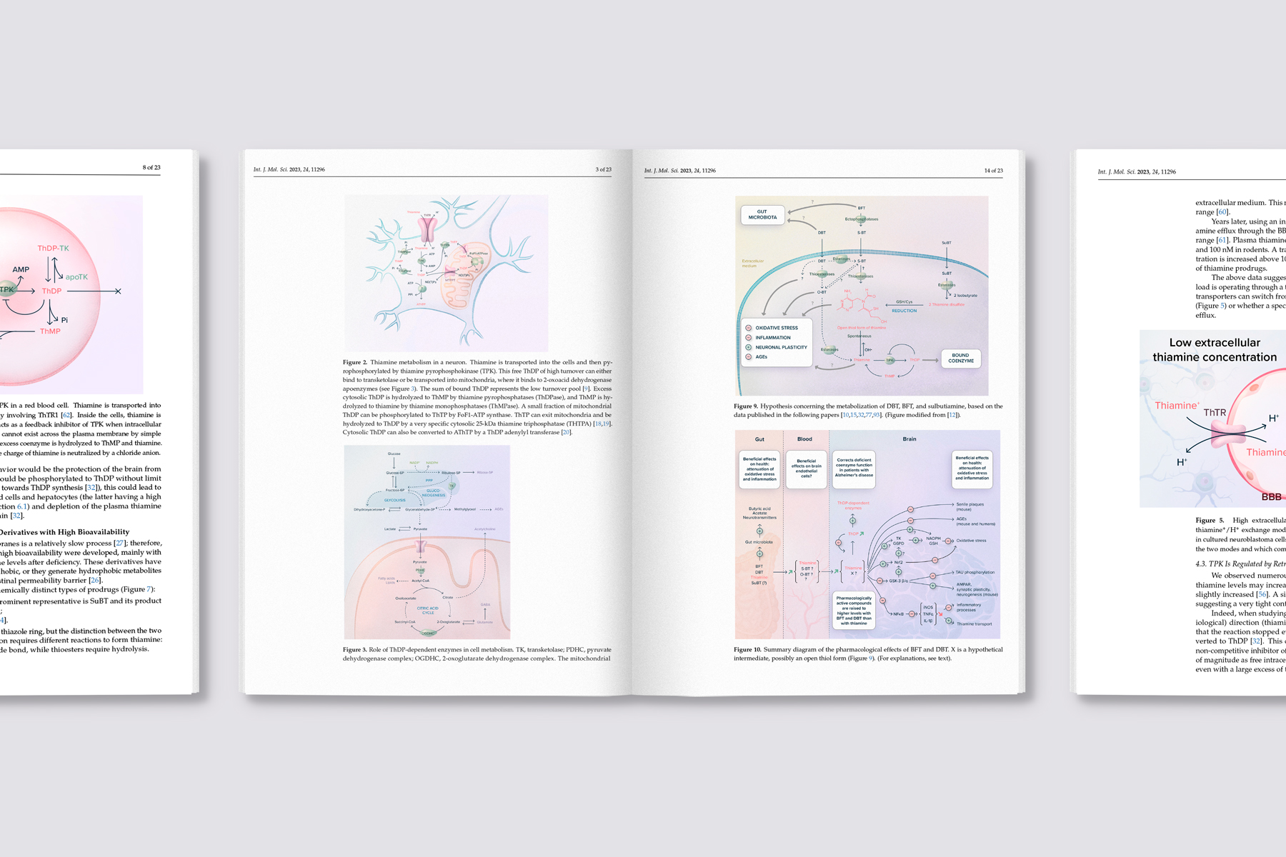 Figure-neurons