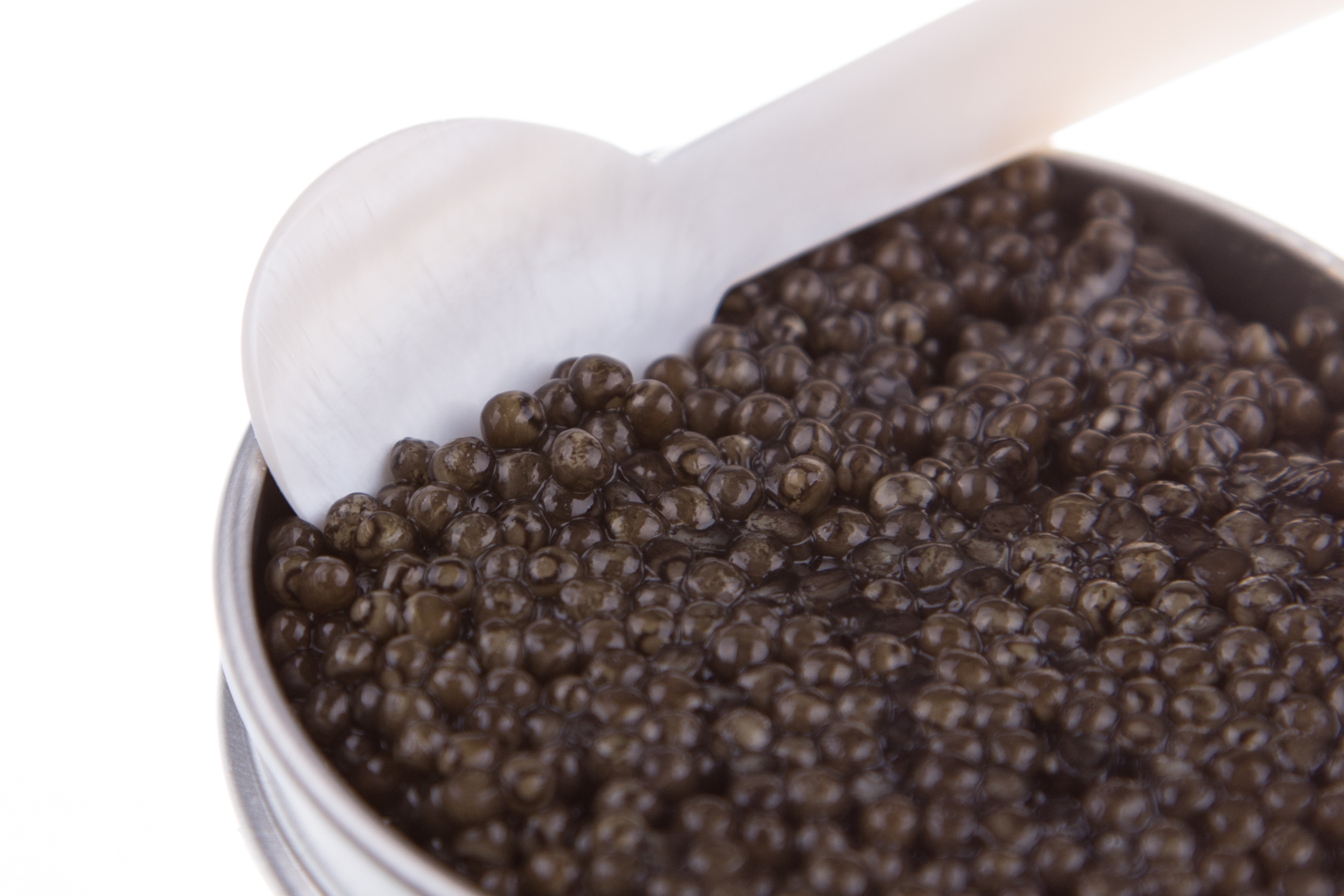 Caviar Tasting