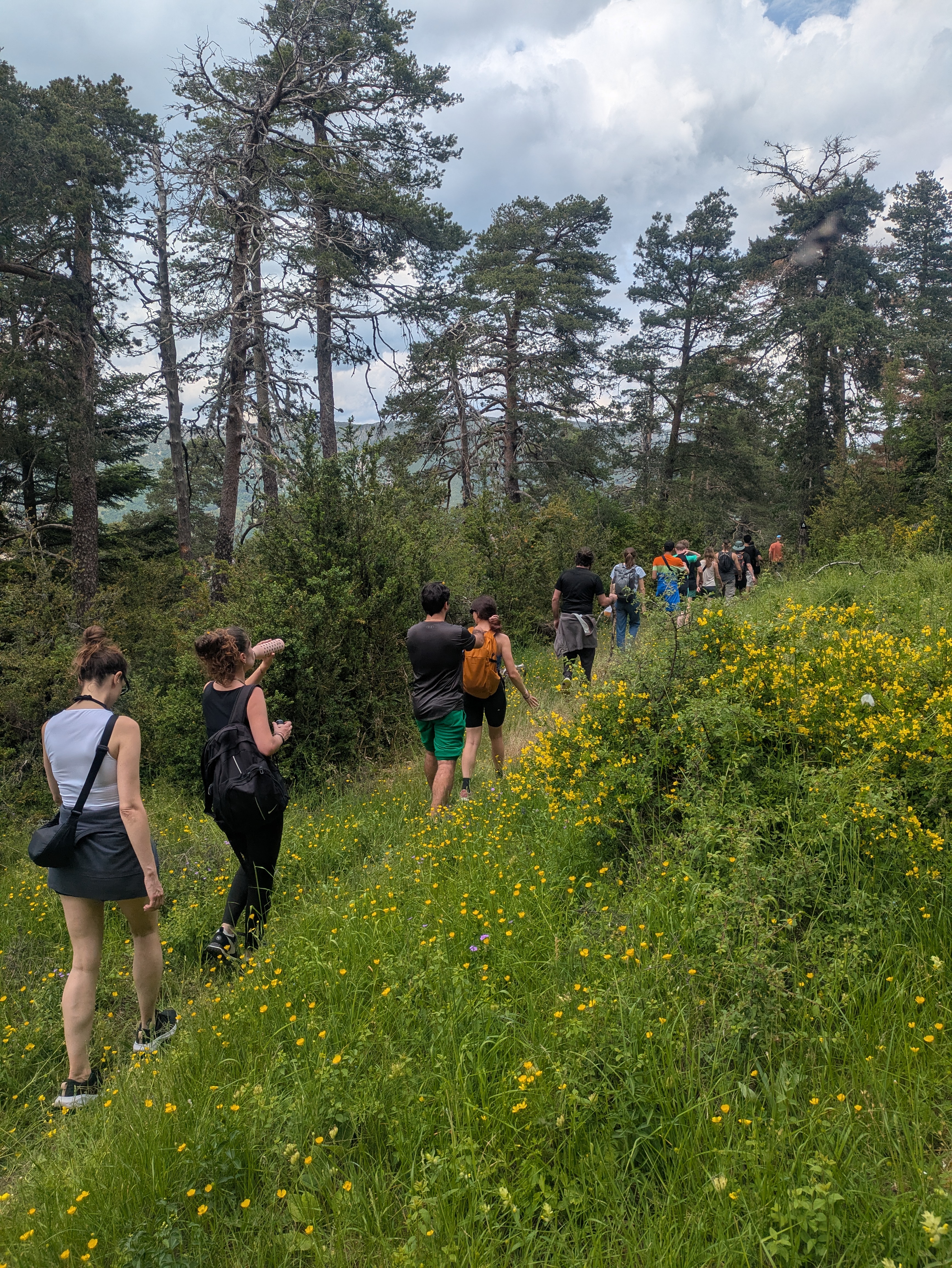 Des jeux et activités team building en pleine nature