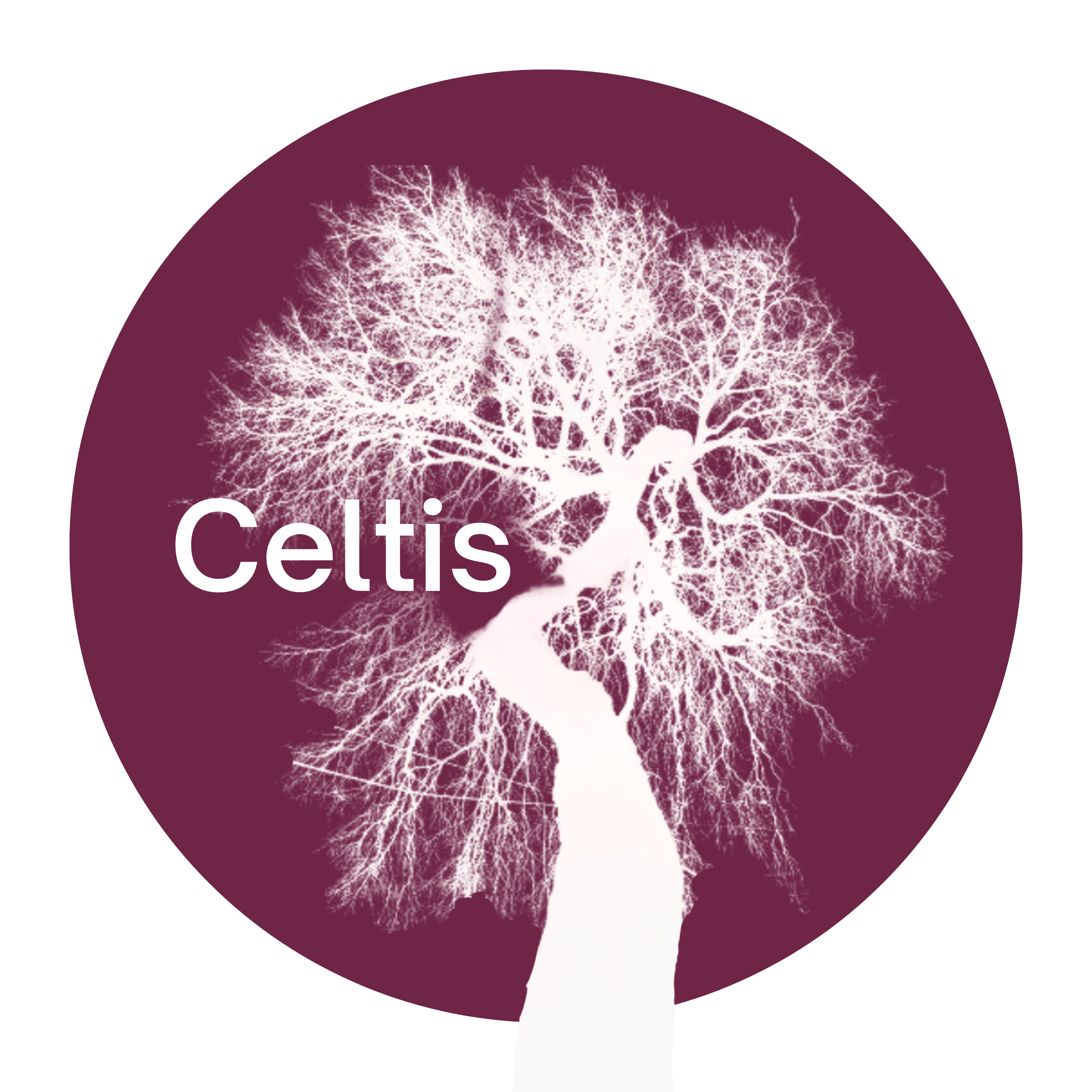 Celtis.zip - 2.png