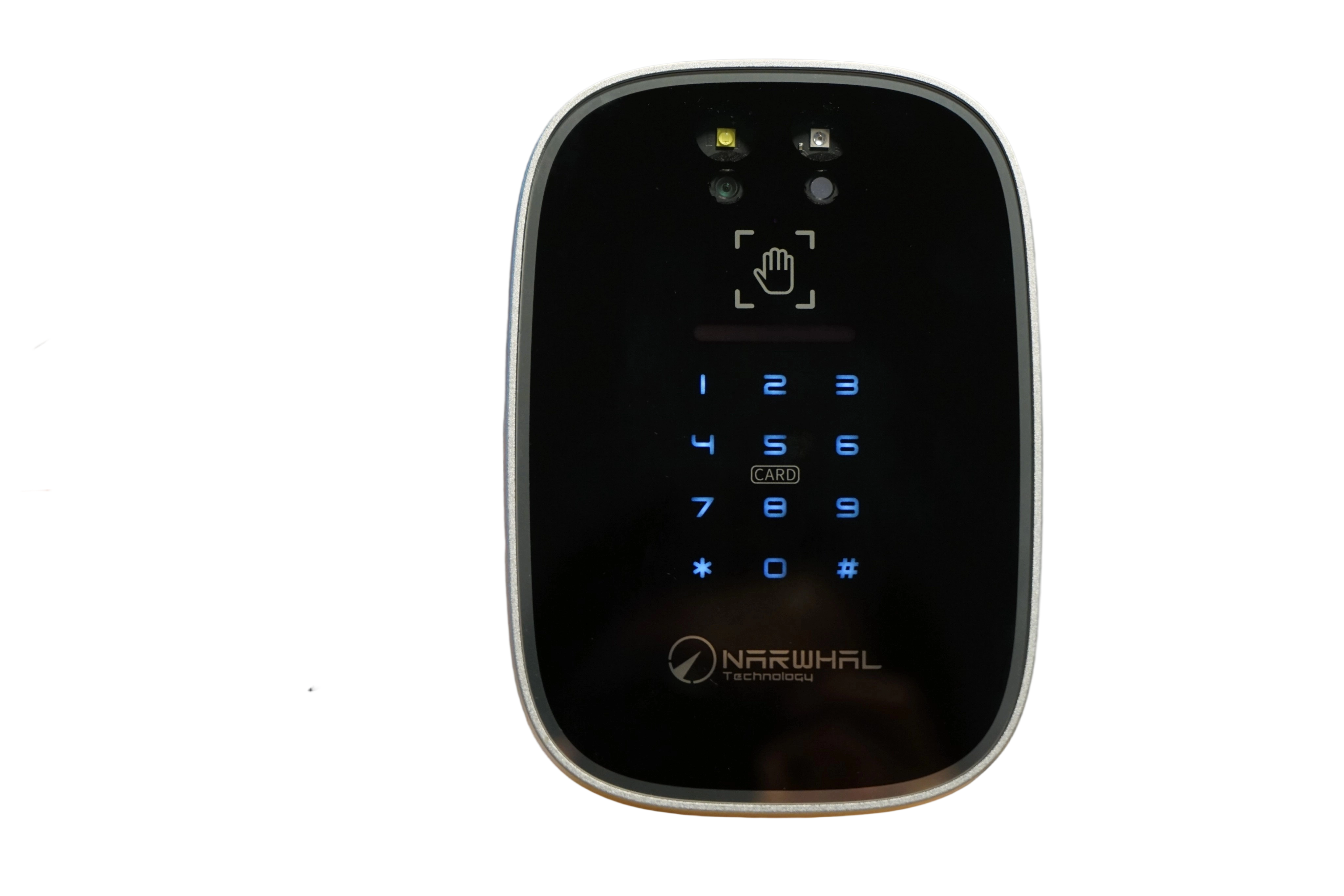 3-in-one accessing device (palm, card key, password)