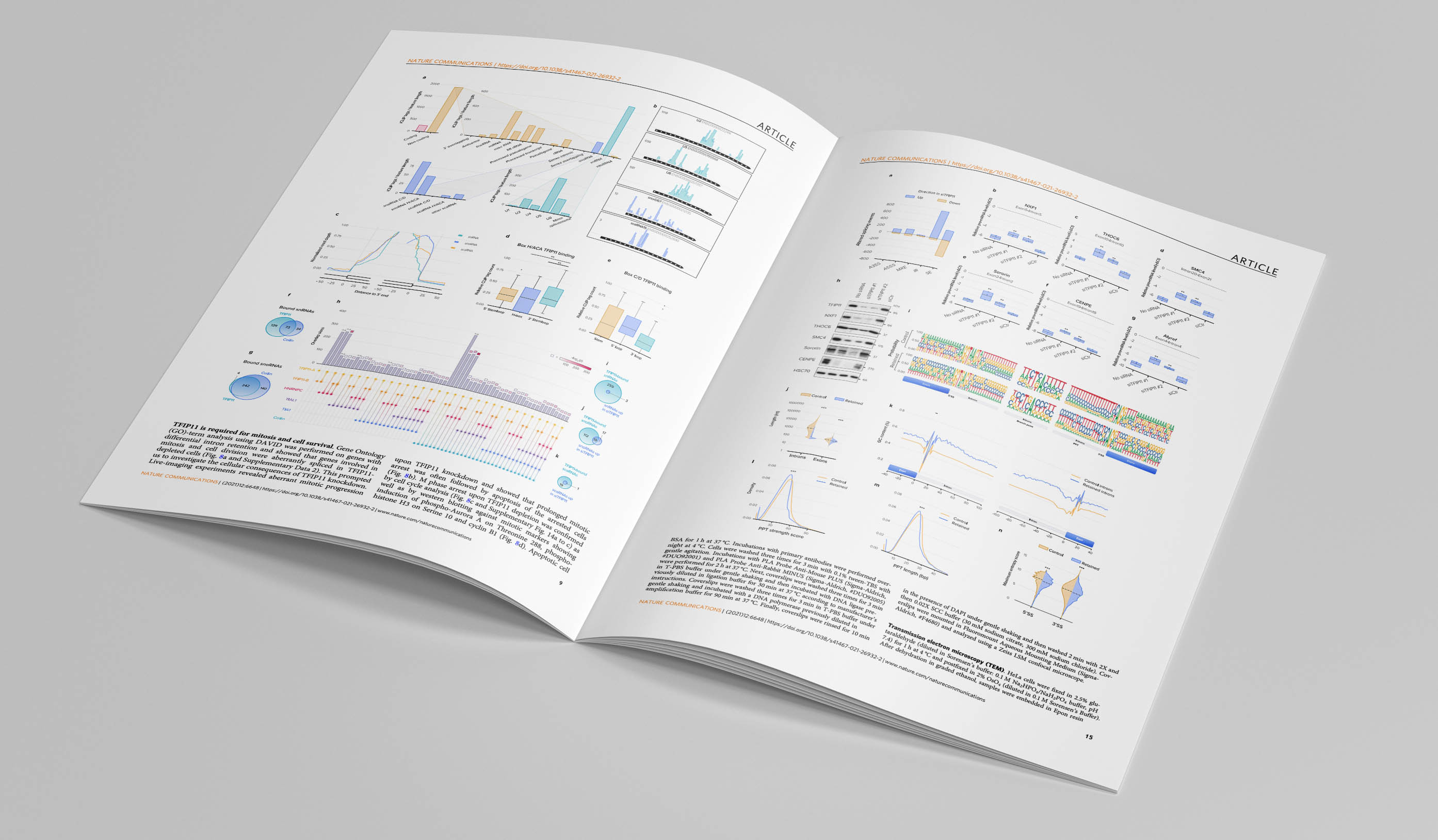 Figures-biomol