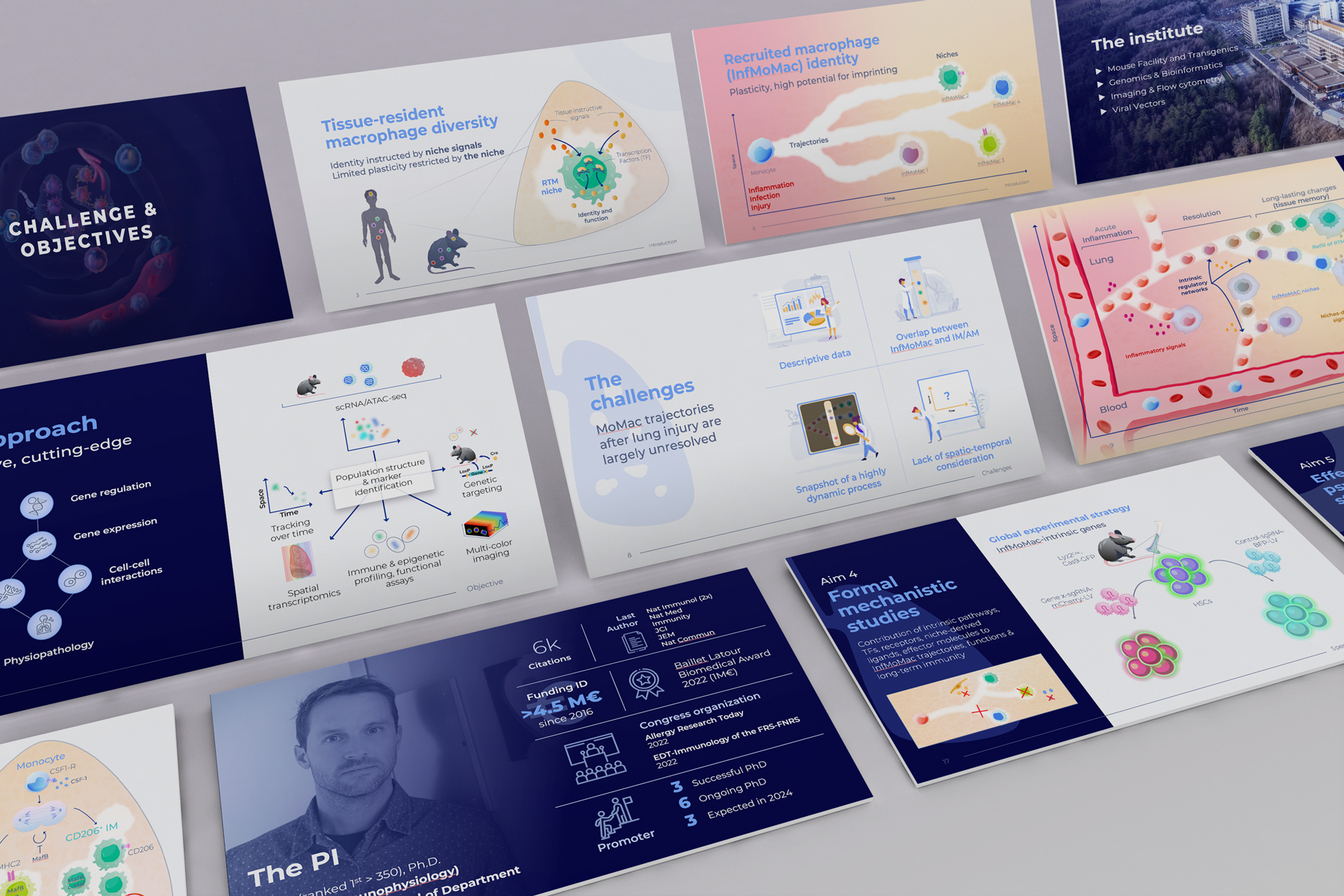 Slides-ERC