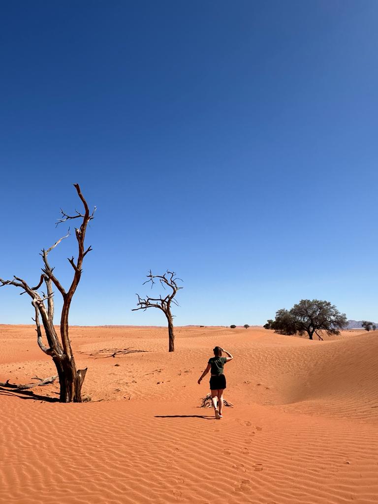 Namib dessert