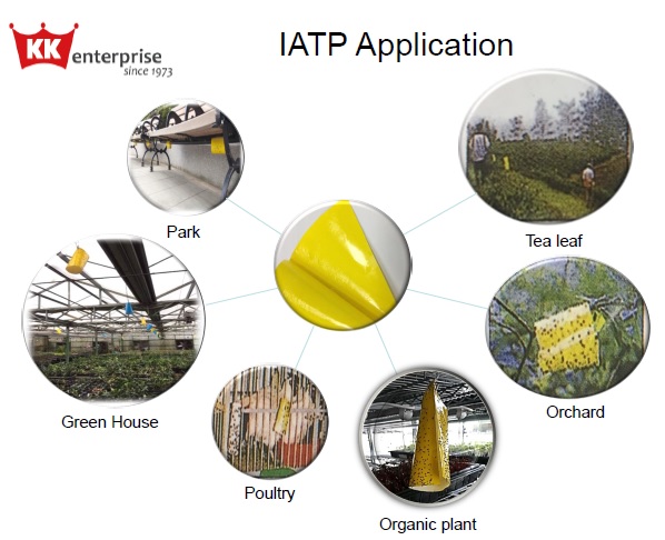 IATP Application