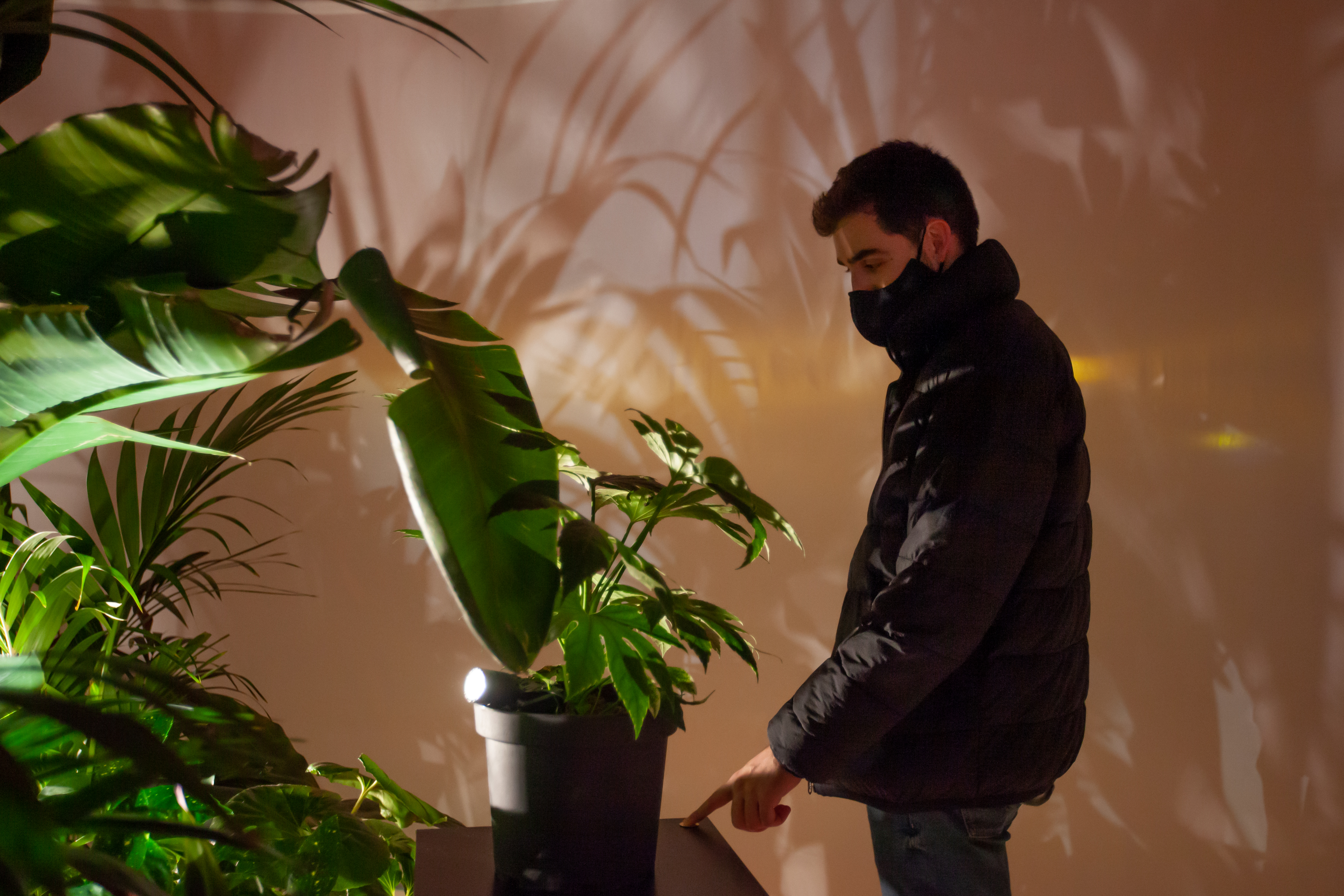 WALDWEBEN - interactive installation