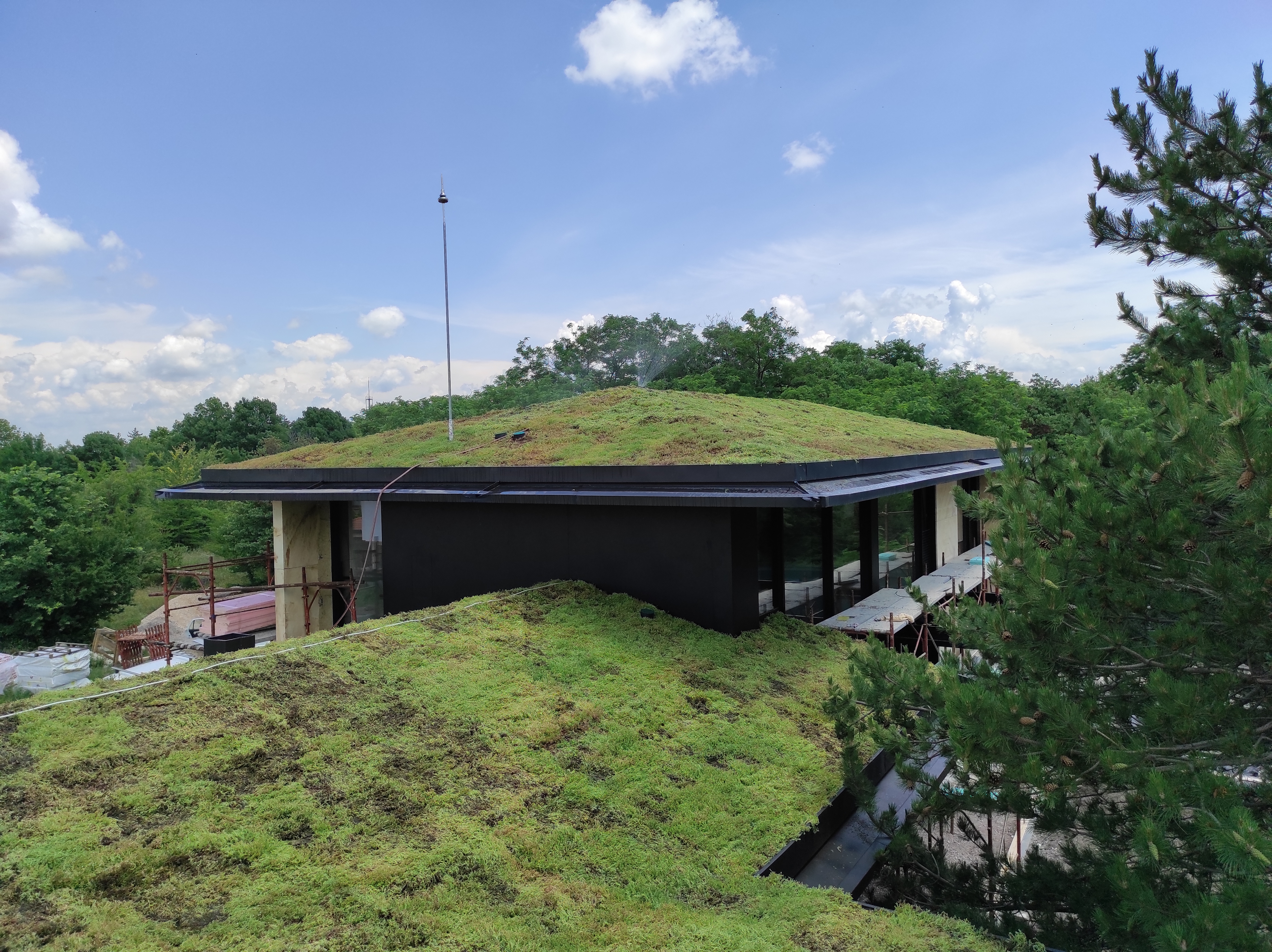 pitched green roof