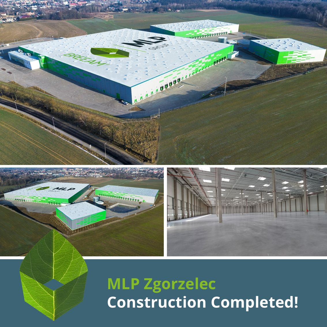 MLP Zgorzelec