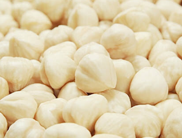 Blanched Hazelnut Kernels