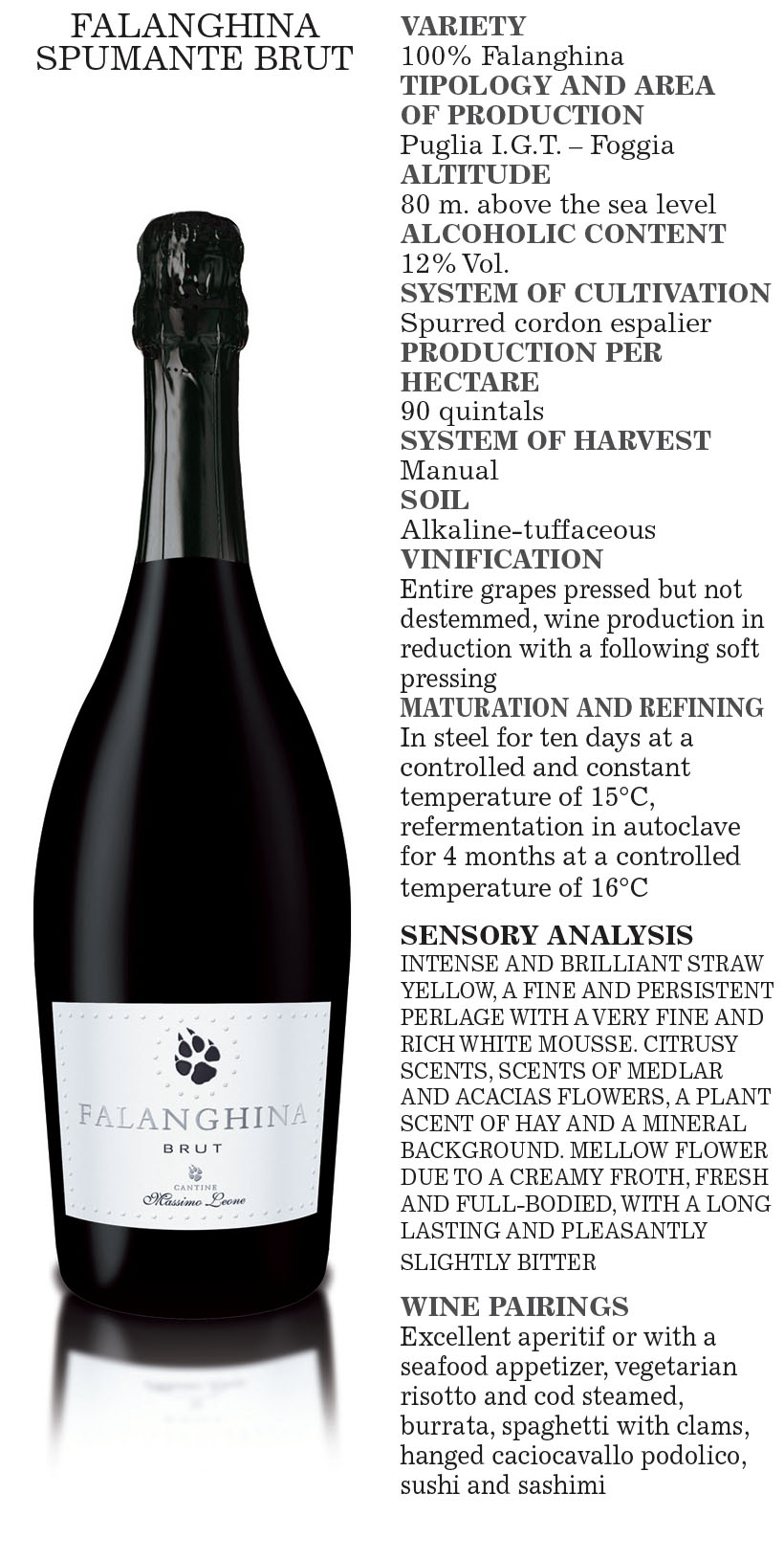 THECNICAL SHEET - FALANGHINA BRUT