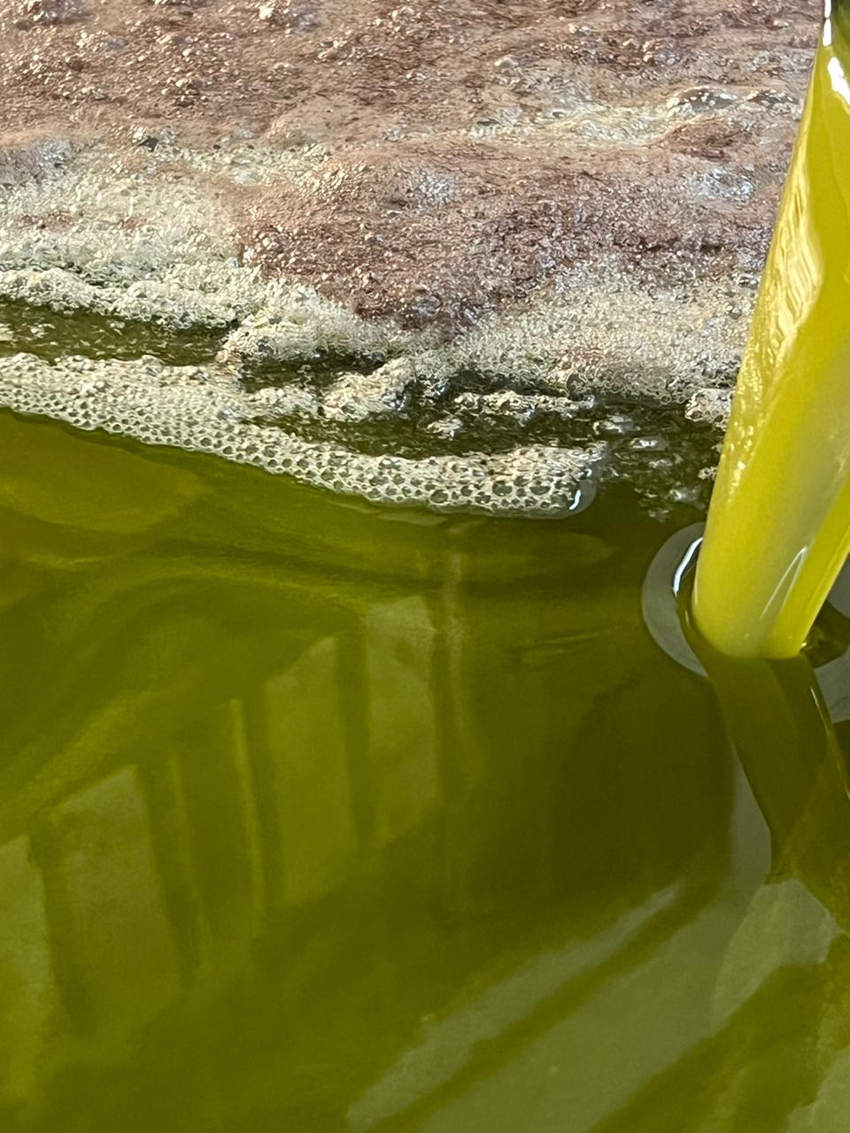 Huile d'olive