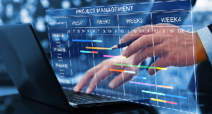 Project Management / Gestion de Projet