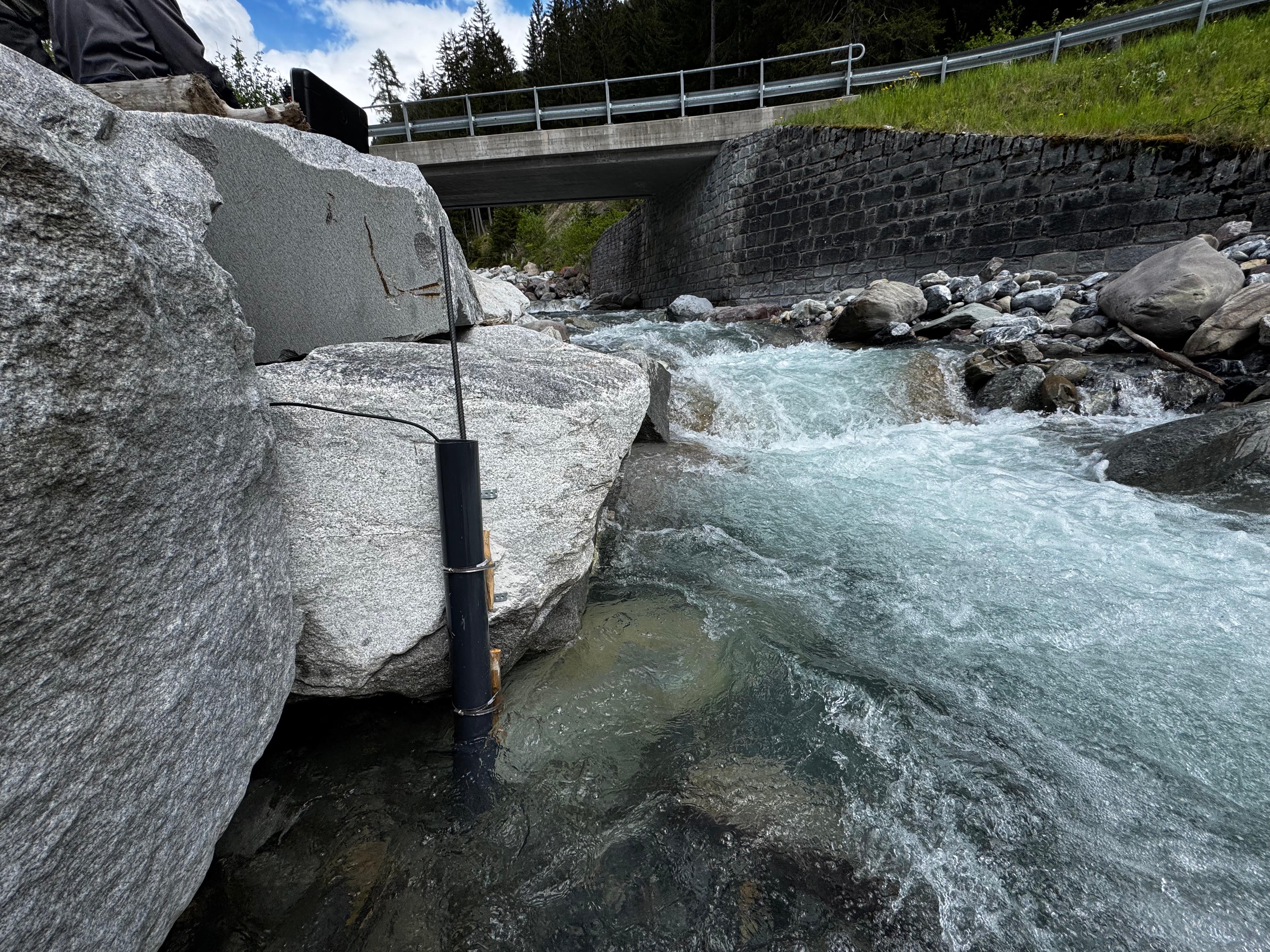 Riverkin sensor in situ
