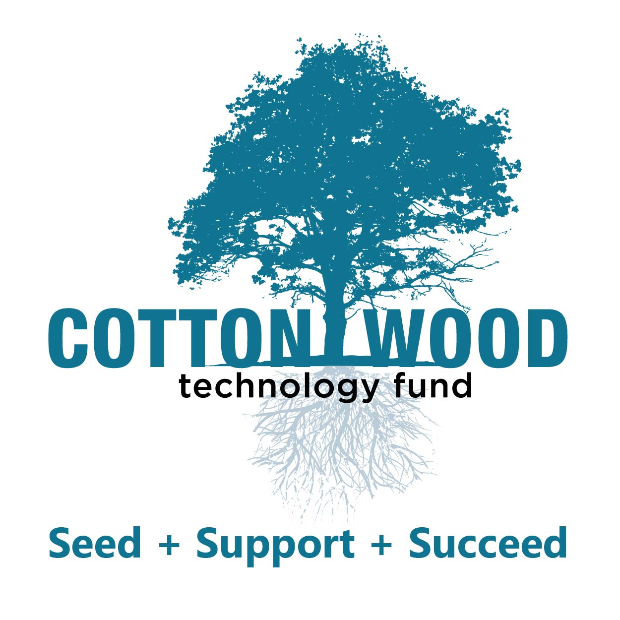 Cottonwood Technology Fund