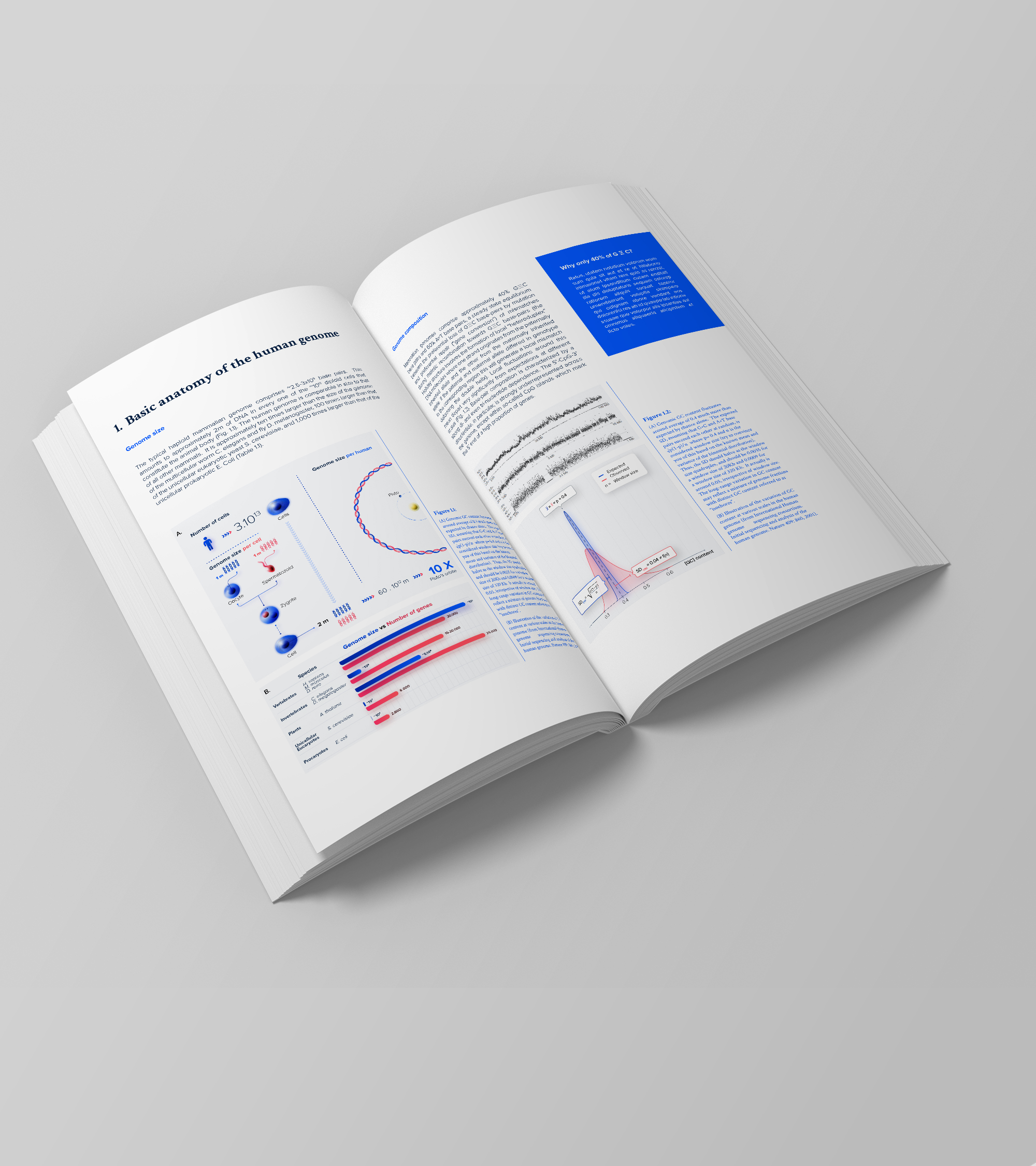 scheme-book