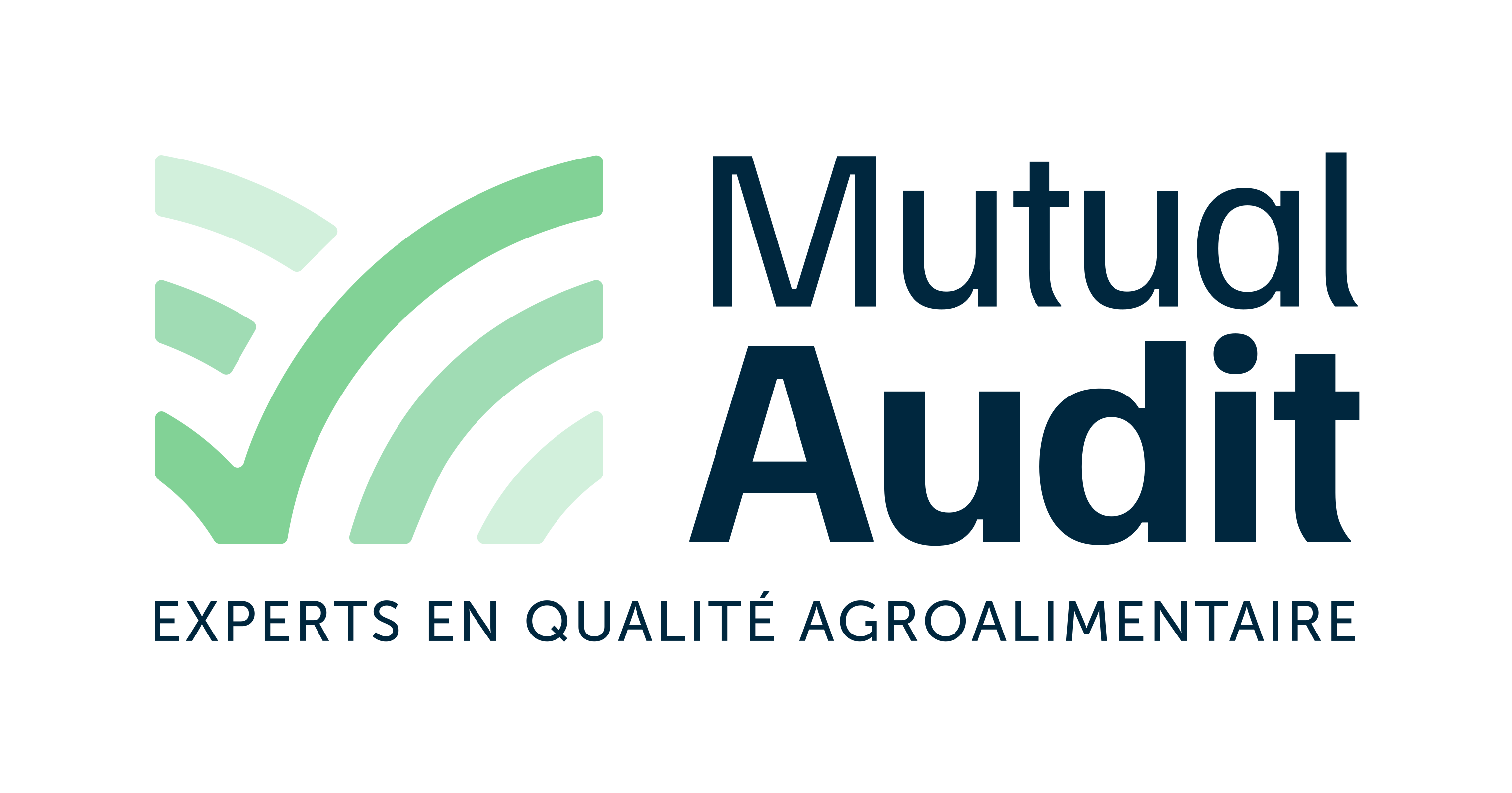Logo Mutual Audit