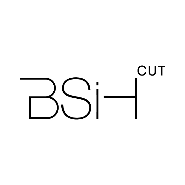 BSiH Logo