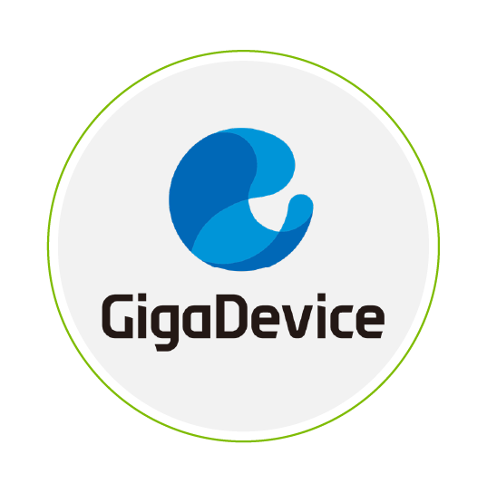 Giga Device