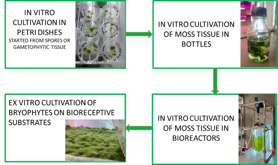 Technology Platform EnGreDi BV