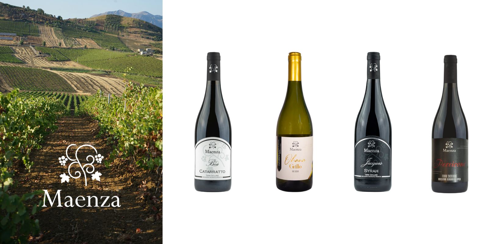 Maenza wines