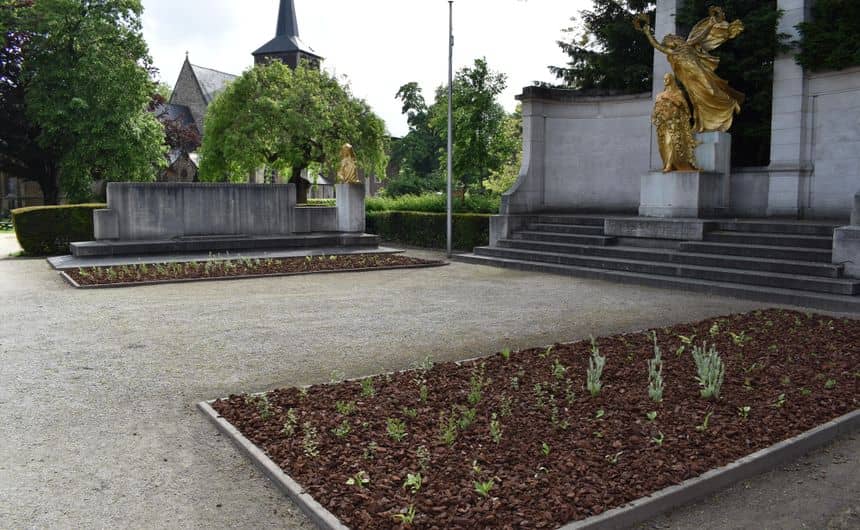 Green space made up of locally produced plants