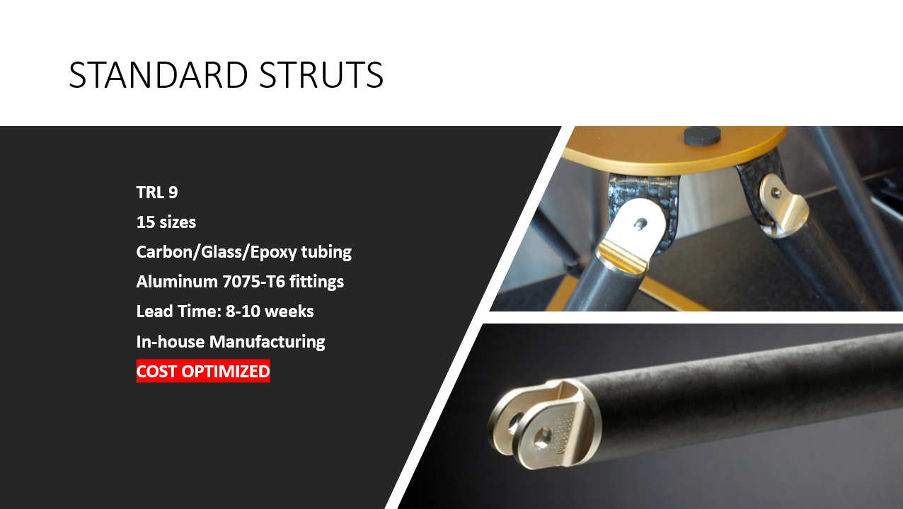 Standard Struts PP.PNG