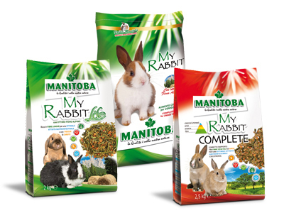 GruppoRabbit400x300RGBottimizzato.jpg