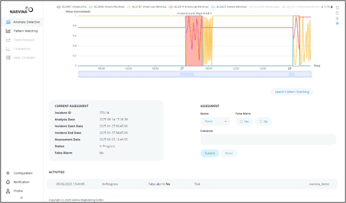 Detailed Incindent View